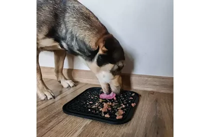 Maty antystresowa dla psów