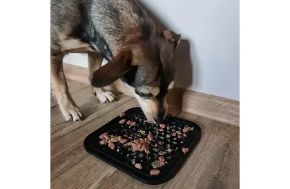 Maty antystresowa dla psów