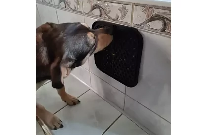 Maty antystresowa dla psów