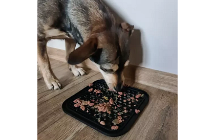 Maty antystresowa dla psów