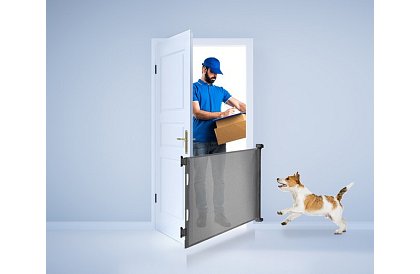 Wysuwana roleta zabezpieczająca do drzwi – szara - 157 cm