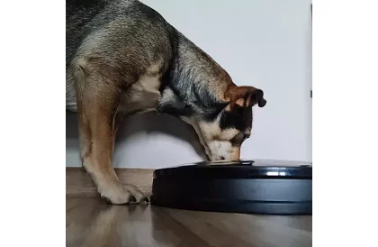 Automatyczny dozownik karmy z timerem