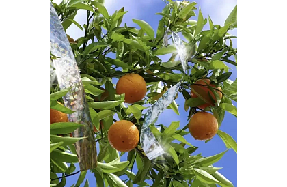 Holograficzna taśma do odstraszania ptaków - 80 metrów