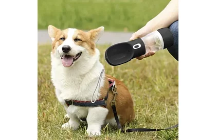 Butelka podróżna na wodę dla psów z miseczką na smakołyki