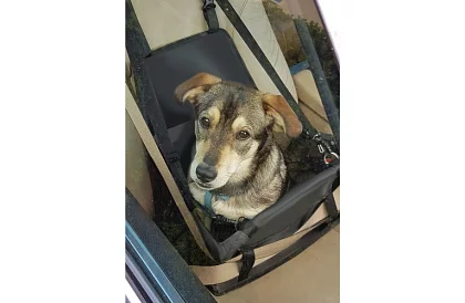 Torba transportowa dla twojego zwierzaka na siedzenie samochodu