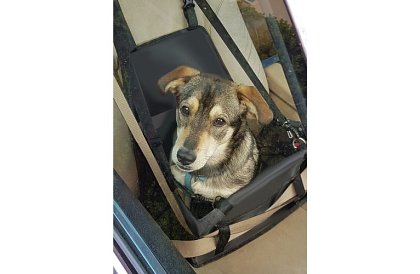 Torba transportowa dla twojego zwierzaka na siedzenie samochodu