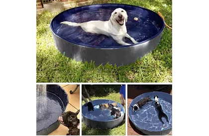Składany basen dla psa - 100 x 30 cm