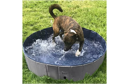 Składany basen dla psa - 100 x 30 cm