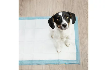 Podkładki higieniczne absorpcyjne 100 szt. – 60x40 cm + worki na odchody