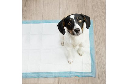 Podkładki higieniczne absorpcyjne 100 szt. – 60x40 cm + worki na odchody