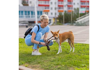 Podkładki higieniczne absorpcyjne 100 szt. – 60x40 cm + worki na odchody