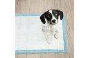 Podkładki higieniczne absorpcyjne 100 szt. – 60x40 cm + worki na odchody