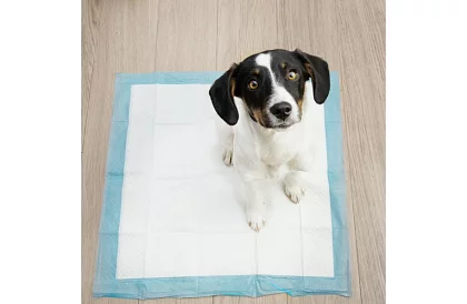 Podkładki higieniczne absorpcyjne 100 szt. – 60x60 cm + worki na odchody