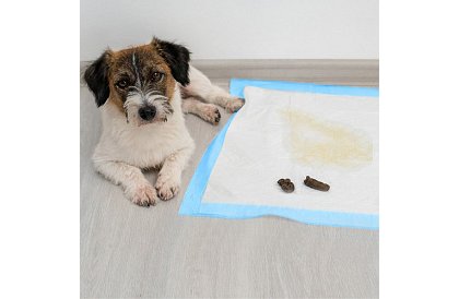 Podkładki higieniczne absorpcyjne 100 szt. – 60x60 cm + worki na odchody