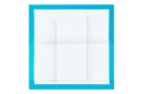 Podkładki higieniczne absorpcyjne 100 szt. – 60x60 cm + worki na odchody