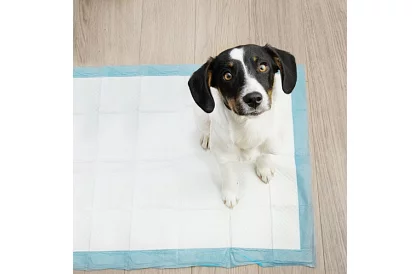 Podkładki higieniczne absorpcyjne 100 szt. – 60x90 cm + worki na odchody