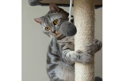 Szare drapaki dla kotów - 71 x 44 x 34 cm