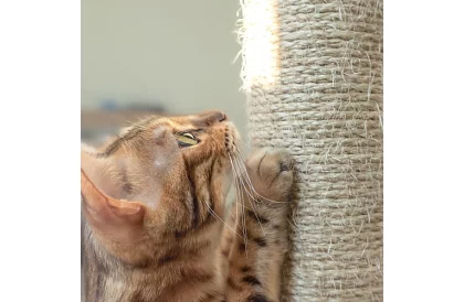 Szare drapaki dla kotów - 71 x 44 x 34 cm