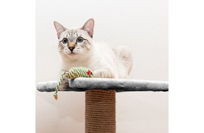 Szare drapaki dla kotów - 71 x 44 x 34 cm