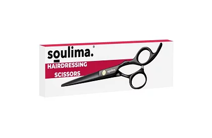 Profesjonalne nożyczki fryzjerskie