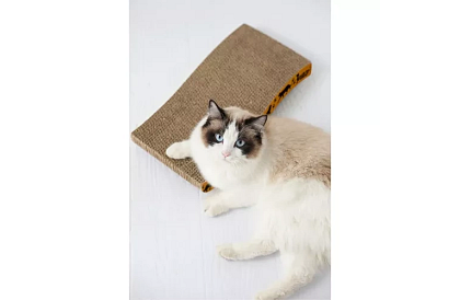 Mobilne drapaki dla kota – 22,5 x 43 cm