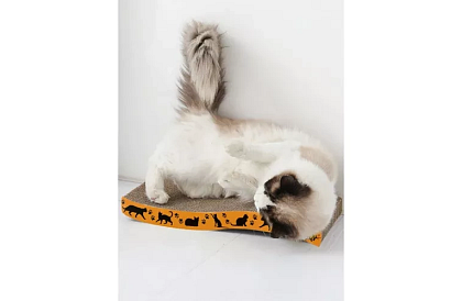 Mobilne drapaki dla kota – 22,5 x 43 cm