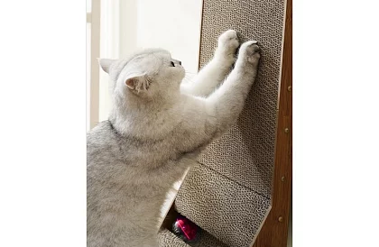 Drapak dla kotów z zabawką - DUO