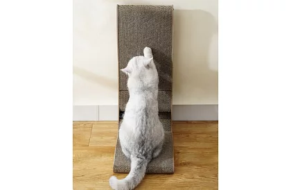 Drapak dla kotów z zabawką - DUO