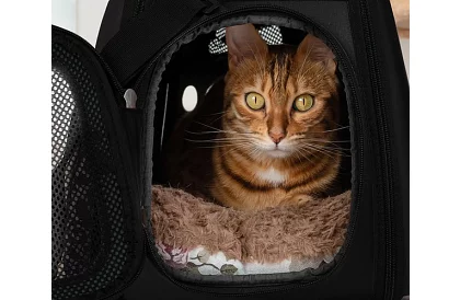 Przewoźnik - torba podróżna dla zwierząt - czarna