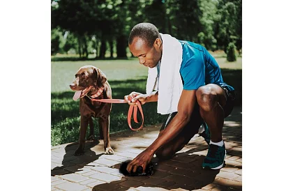 Zestaw worków na ekskrementy – 1000 szt. + etui