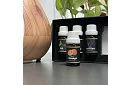 Zestaw olejków eterycznych – 6 sztuk po 10 ml