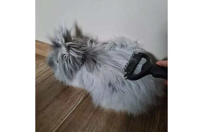 Grzebień do wyczesywania sierści i podszerstka