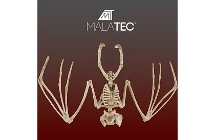 Kostka nietoperza 30 cm - dekoracja halloweenowa