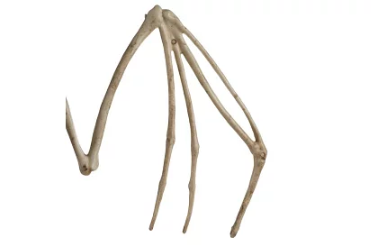 Kostka nietoperza 30 cm - dekoracja halloweenowa