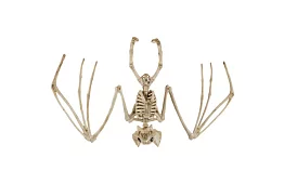 Kostka nietoperza 30 cm - dekoracja halloweenowa