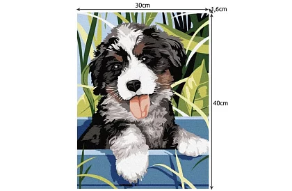 Malowanie według numerów - pies - 40x30 cm