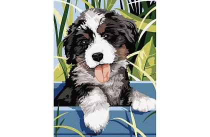 Malowanie według numerów - pies - 40x30 cm