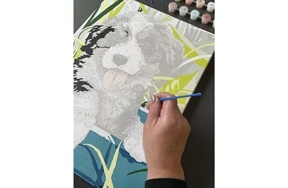 Malowanie według numerów - pies - 40x30 cm