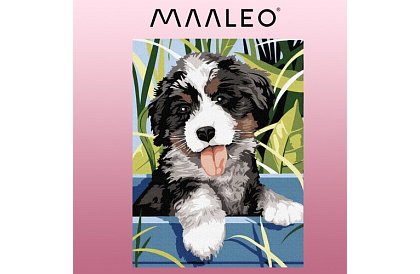 Malowanie według numerów - pies - 40x30 cm