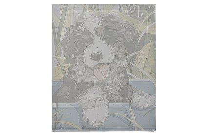 Malowanie według numerów - pies - 40x30 cm