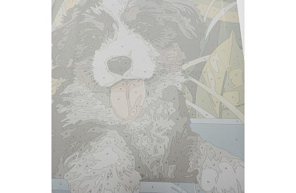 Malowanie według numerów - pies - 40x30 cm