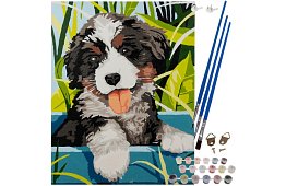 Malowanie według numerów - pies - 40x30 cm