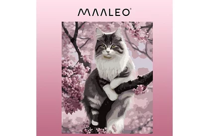 Malowanie według numerów - kot - 40x50 cm