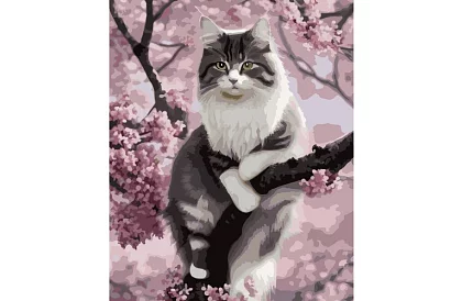 Malowanie według numerów - kot - 40x50 cm