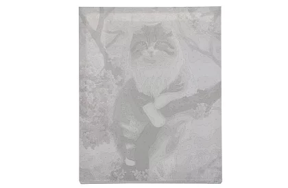 Malowanie według numerów - kot - 40x50 cm