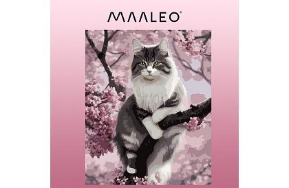 Malowanie według numerów - kot - 40x50 cm