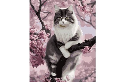 Malowanie według numerów - kot - 40x50 cm