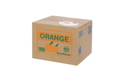 Automatyczna kasa - kotek złodziej monet