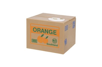 Automatyczna kasa - kotek złodziej monet