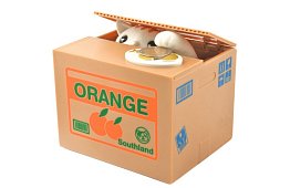 Automatyczna kasa - kotek złodziej monet